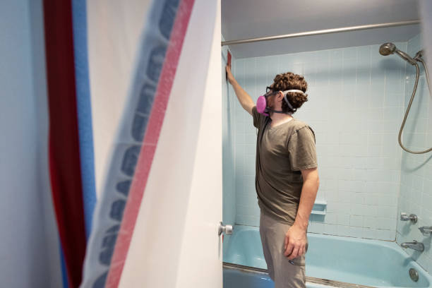 Best Mold Removal for HVAC Installations  in Thunder Mountain, NM