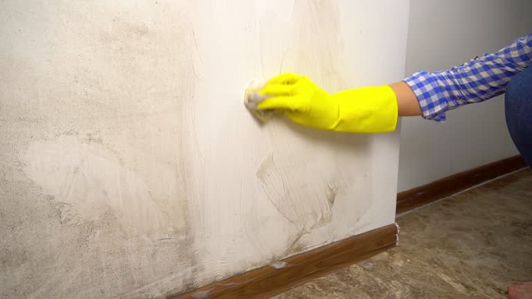 Asbestos and Lead Testing During Mold Inspection in Thunder Mountain, NM